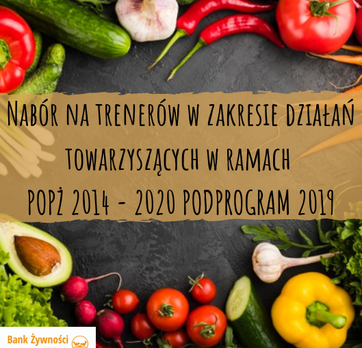 Nabór na trenerów w zakresie działań towarzyszących w ramach POPŻ 2014 - 2020 PODPROGRAM 2019