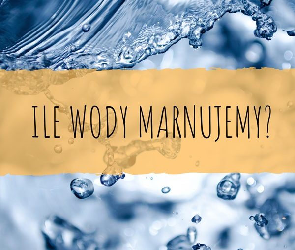 Ile wody marnujemy?